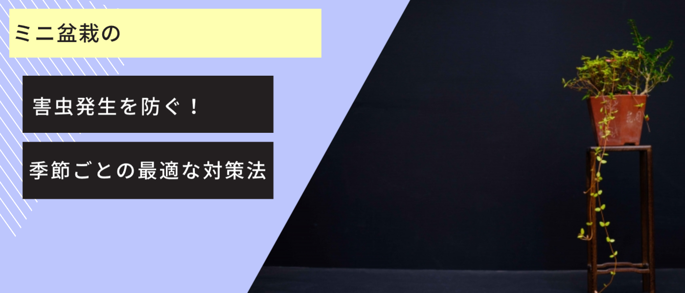 ミニ盆栽の害虫発生を防ぐ！季節ごとの最適な対策法