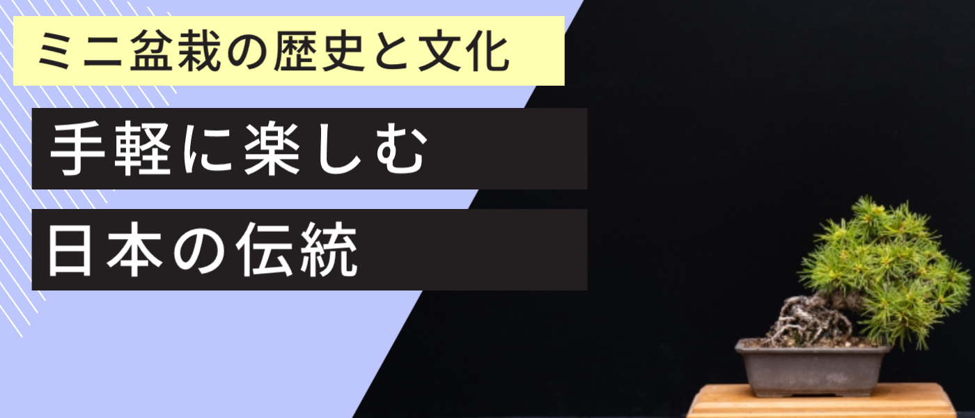 ミニ盆栽の歴史と文化｜手軽に楽しむ日本の伝統