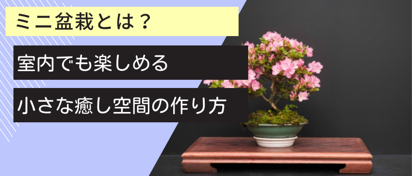 ミニ盆栽とは？室内でも楽しめる小さな癒し空間の作り方