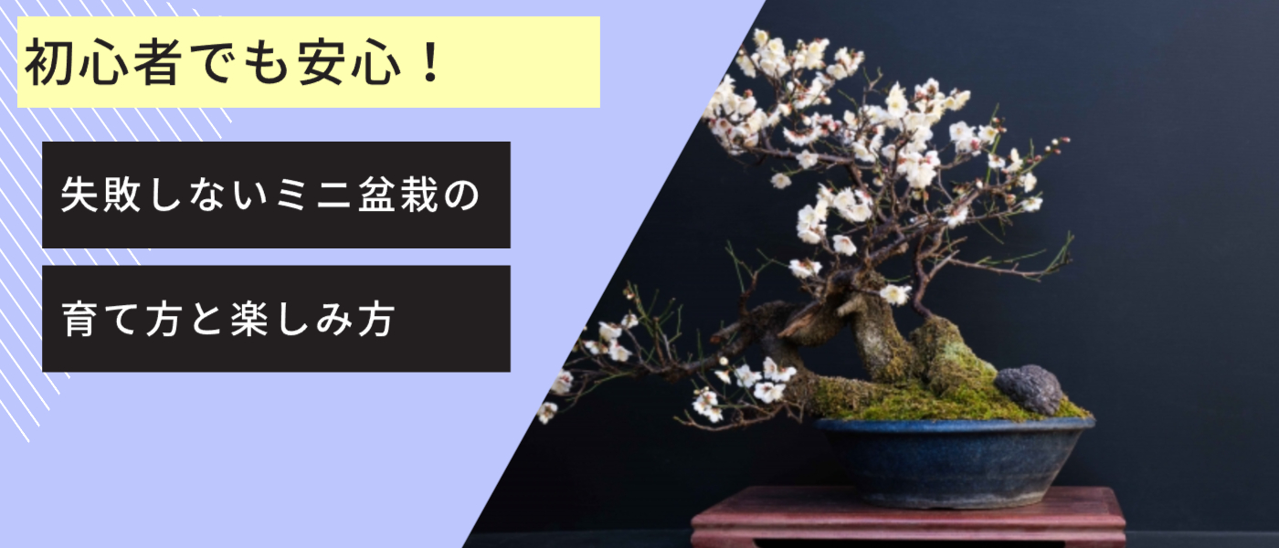 初心者でも安心！失敗しないミニ盆栽の育て方と楽しみ方